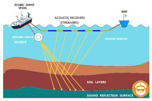 seismic survey vessels